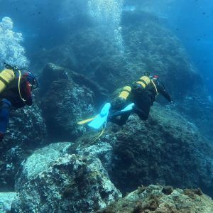 Buceo La Herradura